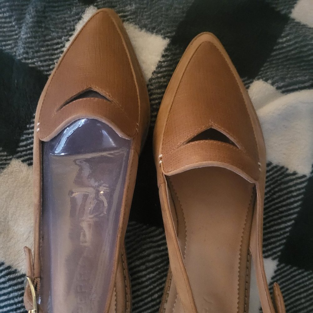 Sperry